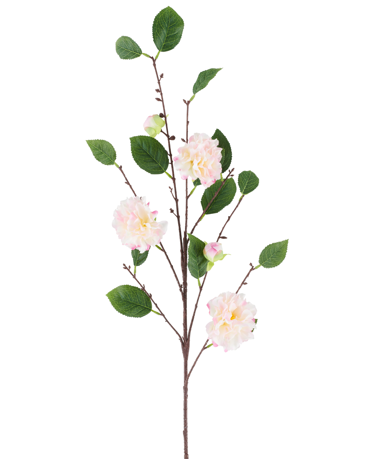 En enkelt stilk af den kunstige blomst japansk Camellia, 92 cm lang, med flere grene med grønne blade og bløde, lyserøde, camellia-lignende blomster, afbildet mod en almindelig hvid baggrund.