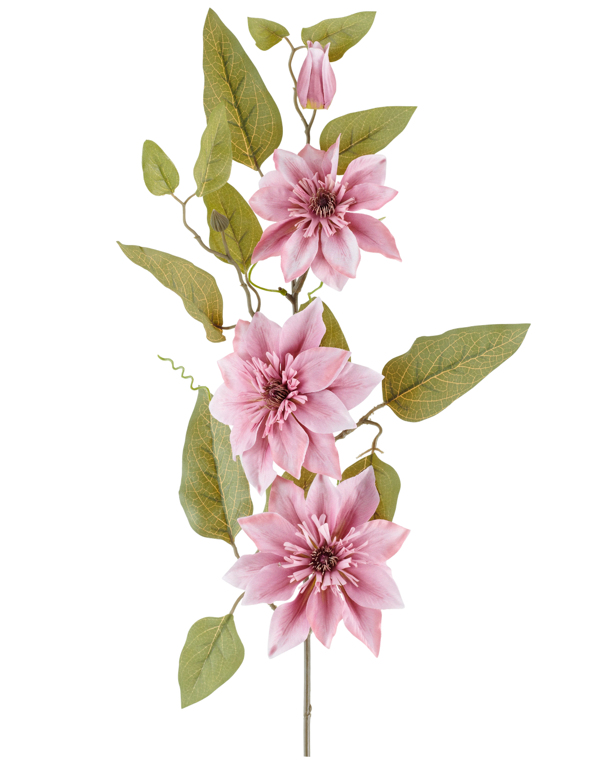 En stilk af den kunstige blomst Clematis 81 cm gammel pink, med tre gamle pink klematis blomster, en lukket pink knop og flere grønne blade, mod en hvid baggrund.