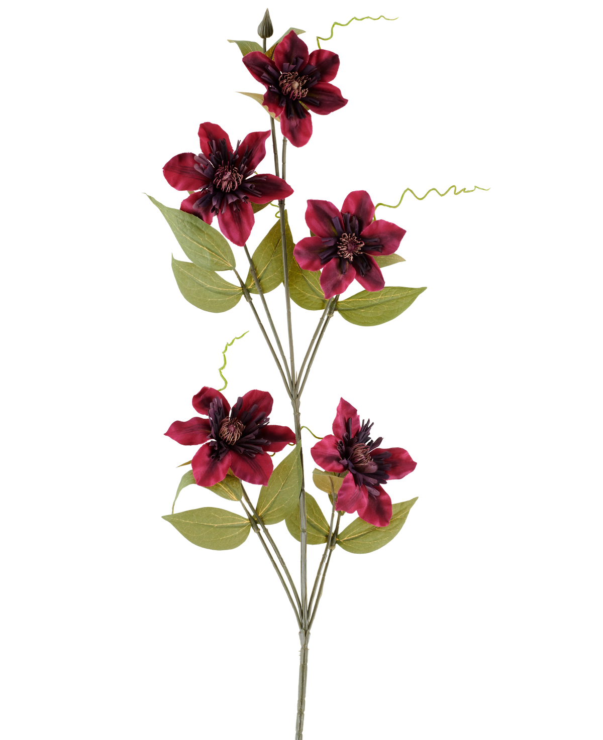 En enkelt kunstig blomst Clematis 78 cm bordeaux, en kunstig stilk, består af fem dybrøde bordeaux-farvede blomster med mørke centre, omgivet af grønne blade og krøllede ranker, mod en almindelig hvid baggrund.