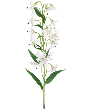 En lang grøn stilk med flere cremefarvede og brune kunstliljer, hver med aflange grønne blade, præsenteret på en hvid baggrund — Kunstig blomsterlilje 82 cm creme/brun.