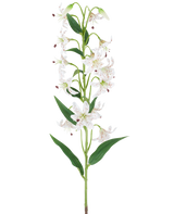 En lang grøn stilk med flere cremefarvede og brune kunstliljer, hver med aflange grønne blade, præsenteret på en hvid baggrund — Kunstig blomsterlilje 82 cm creme/brun.