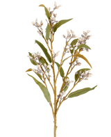 En enkelt 78 cm kunstig blomstereukalyptusstængel i creme/brun, med flere grene af grønne blade og klaser af små, runde blomster, afbilledet mod en almindelig hvid baggrund.