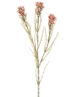 En enkelt 78 cm kunstig blomstervoks i gammel pink har en grøn stilk med tre grene, der hver bærer små, sarte gamle pink blomster og tynde, nålelignende blade, vist mod en almindelig hvid baggrund.