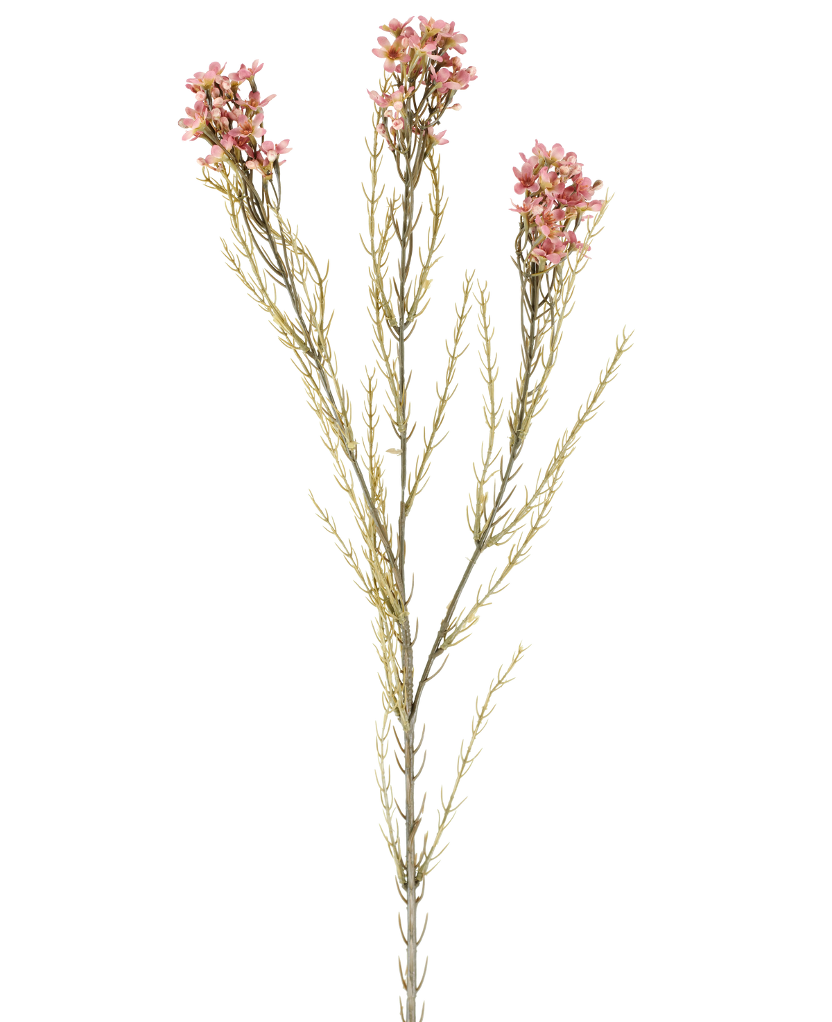 En enkelt 78 cm kunstig blomstervoks i gammel pink har en grøn stilk med tre grene, der hver bærer små, sarte gamle pink blomster og tynde, nålelignende blade, vist mod en almindelig hvid baggrund.
