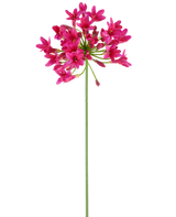 En enkelt, lang grøn stilk af den kunstige blomst Agapanthus 75 fuchsia bærer en klynge af levende lyserøde blomster øverst, der stikker ud mod en almindelig hvid baggrund.