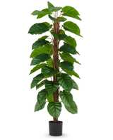 Den kunstige plante Epipremnum aureum 180 cm har store, blanke grønne blade arrangeret langs en central brun stilk og kommer i en lille sort potte, afbilledet mod en almindelig hvid baggrund.