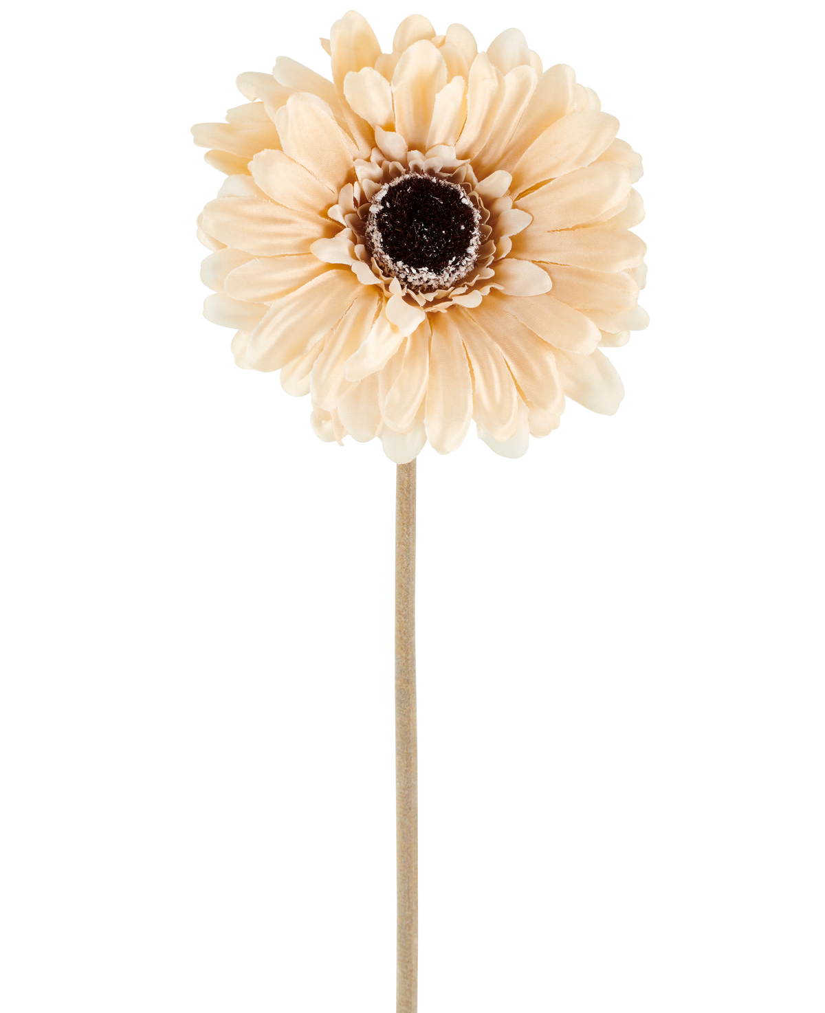 Artificial Flower Gerbera 53 cm creme/brun består af en enkelt lys ferskenfarvet kunstig gerbera med lagdelte kronblade og et mørkebrunt hjerte på en lang, slank stilk, afbildet mod en almindelig hvid baggrund.