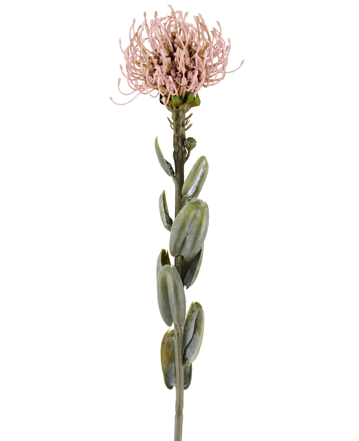 En enkelt stilk af Artificial Flower Protea 61 cm lilla, med ovale grønne blade og en rund, spids lys lilla-lyserød blomst i toppen, afbilledet mod en almindelig hvid baggrund.