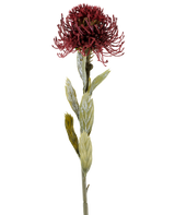 En enkelt Artificial Protea-blomst på 60 cm i bordeaux har en mørkerød, spids blomst med grønne blade, fotograferet mod en hvid baggrund.