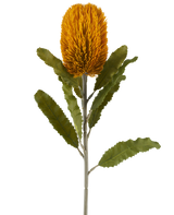 En enkelt kunstig Banksia-blomst i sennepsfarve, 65 cm høj, med cylindrisk form og takkede grønne blade på en lang stilk, isoleret mod en hvid baggrund.