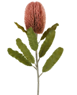 En enkelt stilk af den kunstige blomst Banksia 65 cm gammel pink har en stor, lyserød, cylindrisk blomst og lange, takkede grønne blade, der skiller sig ud mod en hvid baggrund.