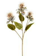 En enkelt stilk af kunstig blomstertidsel 57 cm creme/brun, med tre spidse, runde, lysebrune blomster og nogle grønne blade, afbildet på hvid baggrund.