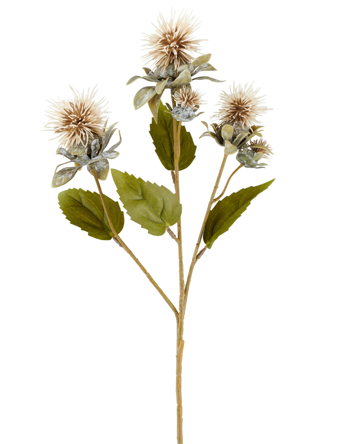 En enkelt stilk af kunstig blomstertidsel 57 cm creme/brun, med tre spidse, runde, lysebrune blomster og nogle grønne blade, afbildet på hvid baggrund.