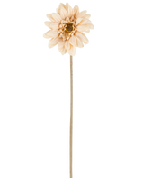 En enkelt Artificial Flower Mini Gerbera i creme/brun, med lagdelte kronblade og en lang, tynd stilk på 47 cm, centreret mod en hvid baggrund.