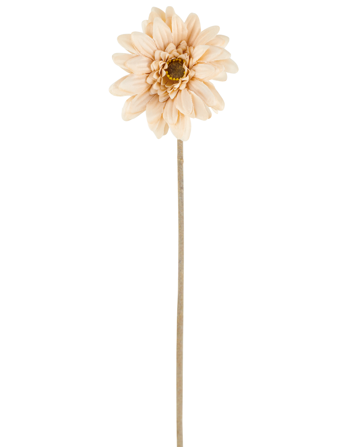 En enkelt Artificial Flower Mini Gerbera i creme/brun, med lagdelte kronblade og en lang, tynd stilk på 47 cm, centreret mod en hvid baggrund.