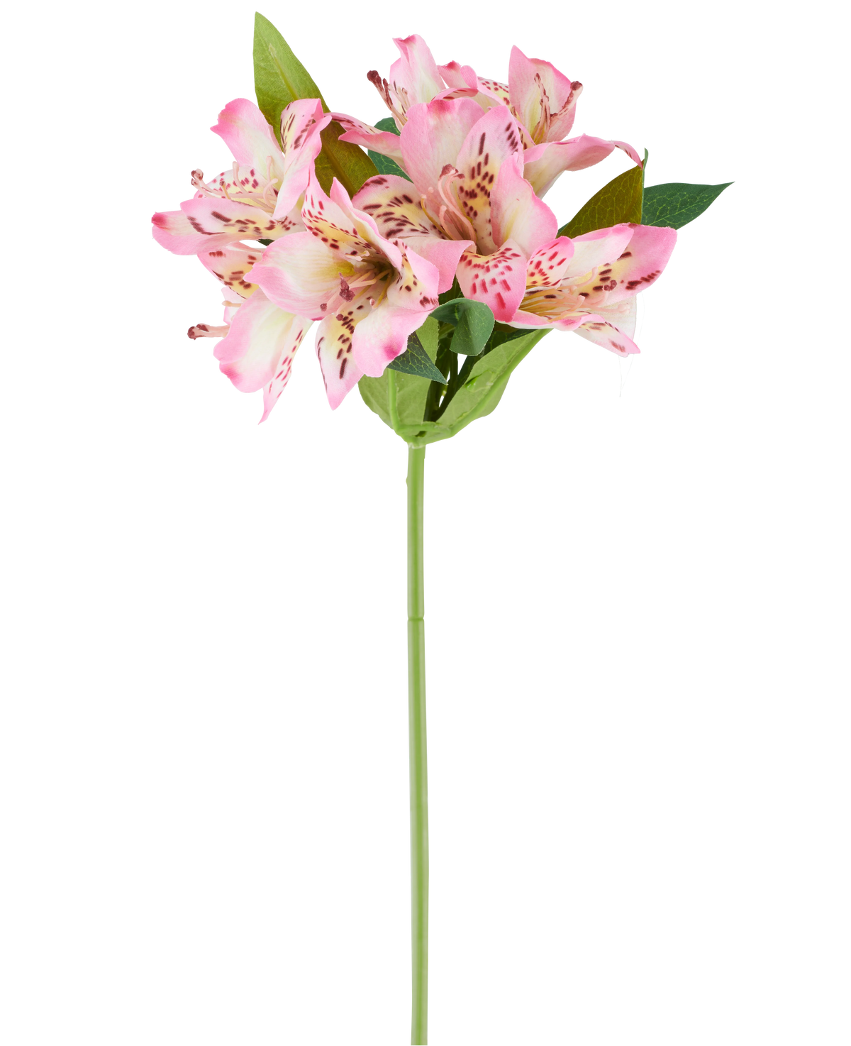 En enkelt kunstig Alstroemeria-blomst på 47 cm, pink/creme, med forskellige pink- og cremefarvede blomster og grønne blade, vist mod en hvid baggrund.