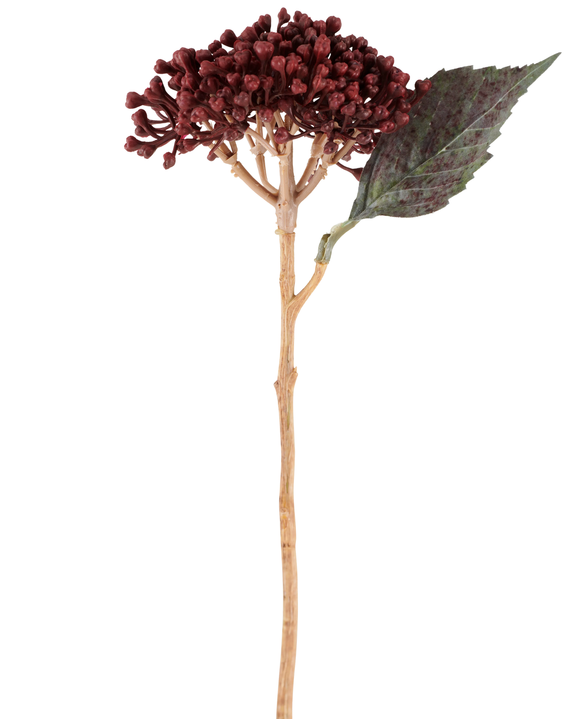 En enkelt kunstig blomst tørret hortensia i bordeauxrød, med en længde på 38 cm, med tørrede rødbrune kronblade, en klynge af små knopper og et grønt blad på en lang, slank stilk, er afbildet på en hvid baggrund.