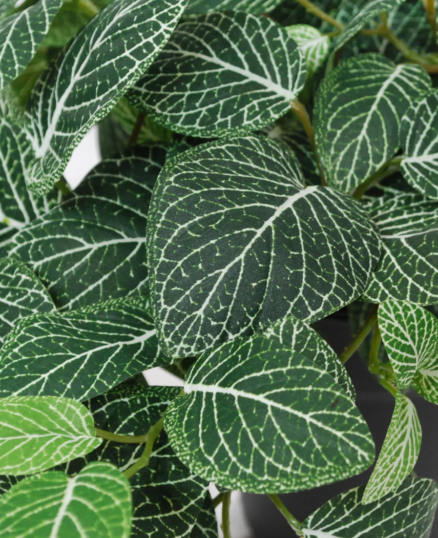 Close-up van de Kunst Hangende Fittonia groen-wit in pot 70 cm UV, met groene bladeren met opvallende witte nerven en gedetailleerde nervenpatronen in verschillende groene tinten.