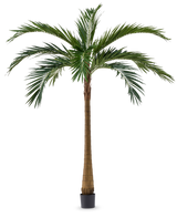 Artificial Palm XL Deluxe 270 cm har en høj, slank brun stamme og store grønne blade, som står elegant i en lille sort potte mod en hvid baggrund.