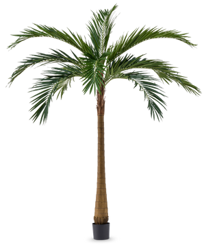 Artificial Palm XL Deluxe 270 cm har en høj, slank brun stamme og store grønne blade, som står elegant i en lille sort potte mod en hvid baggrund.