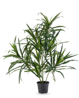 Den kunstige plante Dracaena Reflexa i potte UV 63 cm har lange, slanke grønne blade på tynde stængler, ideel til at tilføje et strejf af tropisk flair til dit interiør mod en almindelig hvid baggrund.