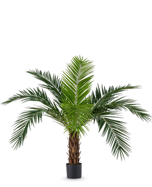 The Artificial Palm Phoenix Canarie 160 cm med lange grønne blade og tropisk udseende står i en potte mod en hvid baggrund. Denne kunstige palme bringer straks en tropisk atmosfære til ethvert rum.
