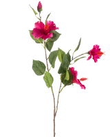 Kunstig Blomst Hibiscus 89 cm fuchsia har en gren med grønne blade, flere levende fuchsia hibiscus blomster og en lukket knop, alt sammen mod en hvid baggrund.