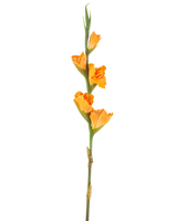 Artificial Flower Gladiolus 83 cm orange har en lang grøn stilk med flere orange gladiolus blomster på en hvid baggrund.