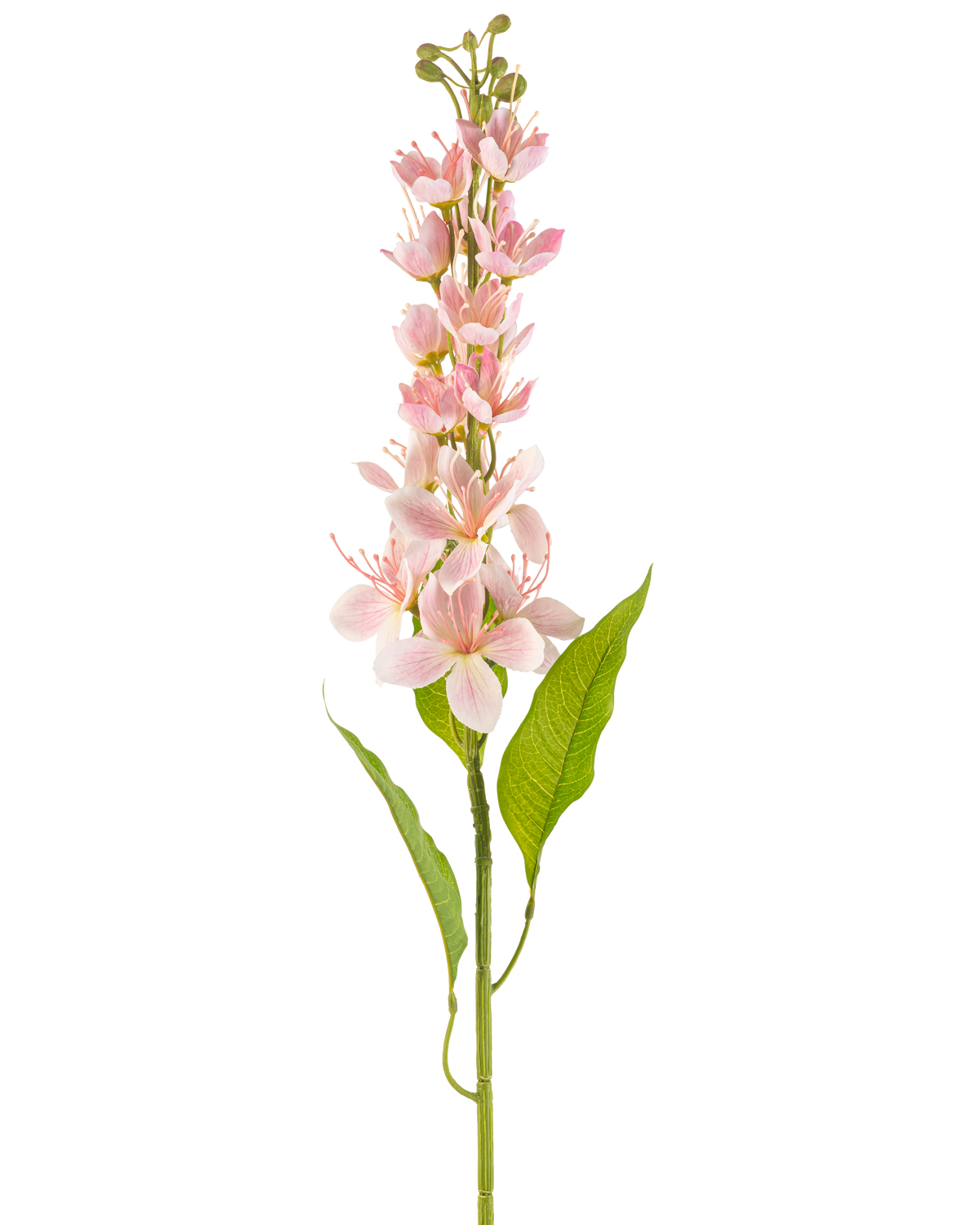 En enkelt kunstig blomst asiatisk æble 84 cm pink med lyserøde blomster og slanke grønne blade, arrangeret lodret mod en hvid baggrund.