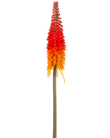 Artificial Flower Torch Lily 80 cm orange har en høj kunstig blomst med en lang grøn stilk og en kegleformet klase af orange kronblade, mod en almindelig hvid baggrund.