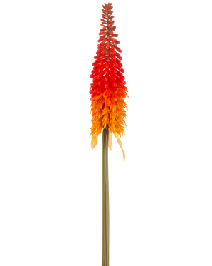 Artificial Flower Torch Lily 80 cm orange har en høj kunstig blomst med en lang grøn stilk og en kegleformet klase af orange kronblade, mod en almindelig hvid baggrund.