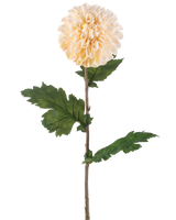 Artificial Flower Dahlia 75 cm cremen har en enkelt stilk med en stor, rund cremet dahliablomst og flere grønne, takkede blade på en hvid baggrund.