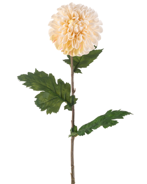 Artificial Flower Dahlia 75 cm cremen har en enkelt stilk med en stor, rund cremet dahliablomst og flere grønne, takkede blade på en hvid baggrund.