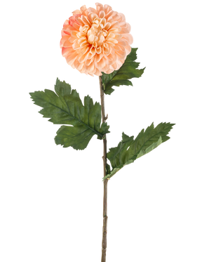 Artificial Flower Dahlia 75 cm fersken har en ferskenfarvet dahlia med lagdelte kronblade og tre bundter takkede grønne blade på en lang stilk, afbildet mod en hvid baggrund.