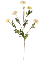 Artificial Flower Pompon Chrysanthemum 69 cm creme/pink har en enkelt stilk med flere creme-lyserøde, tusindfrydlignende blomster og grønne, bregneformede blade mod en almindelig hvid baggrund.