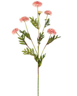 Artificial Flower Pompon Chrysanthemum 69 cm pink har en enkelt stilk med flere lyserøde, runde pomponblomster og grønne, bregnelignende blade mod en hvid baggrund.