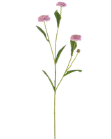 Artificial Flower Summer Aster 57 cm lilla har en lang, slank grøn stilk med tre lilla, tusindfrydlignende blomster og aflange grønne blade, der forgrener sig, alt sammen mod en almindelig hvid baggrund.