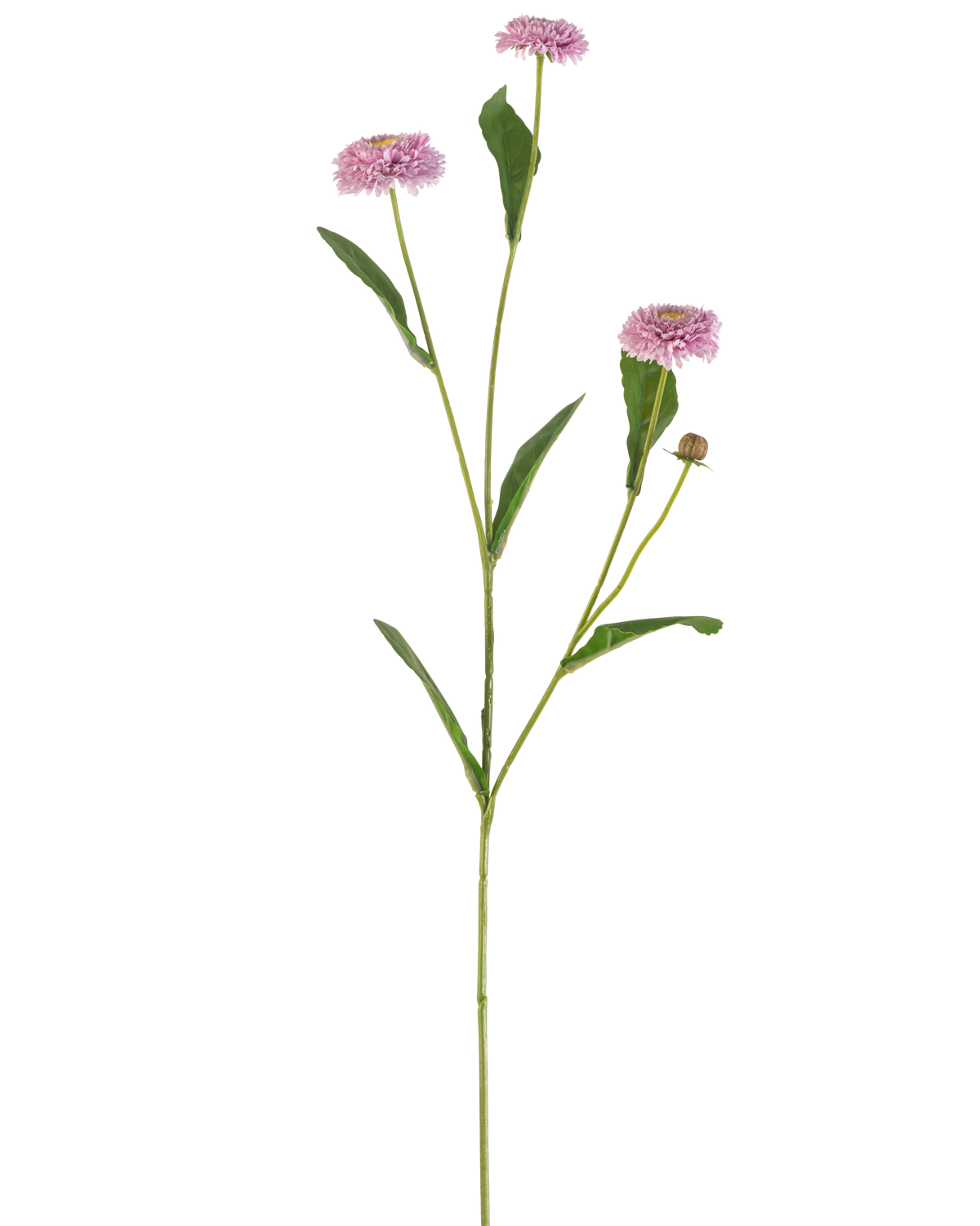 Artificial Flower Summer Aster 57 cm lilla har en lang, slank grøn stilk med tre lilla, tusindfrydlignende blomster og aflange grønne blade, der forgrener sig, alt sammen mod en almindelig hvid baggrund.