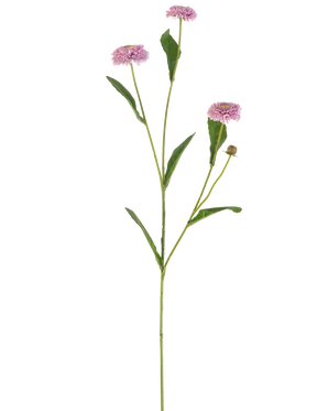 Artificial Flower Summer Aster 57 cm lilla har en lang, slank grøn stilk med tre lilla, tusindfrydlignende blomster og aflange grønne blade, der forgrener sig, alt sammen mod en almindelig hvid baggrund.