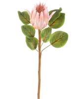 Artificial Flower Protea 65 cm pink er en enkelt kunstig pink protea blomst med store grønne blade og en lang brun stilk, mod en almindelig hvid baggrund.