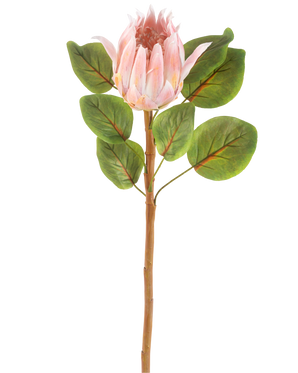 Artificial Flower Protea 65 cm pink er en enkelt kunstig pink protea blomst med store grønne blade og en lang brun stilk, mod en almindelig hvid baggrund.
