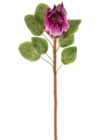 Artificial Flower Protea 65 cm lilla har en enkelt kunstig lilla protea blomst med grønne blade og en lang brun stilk, mod en hvid baggrund.