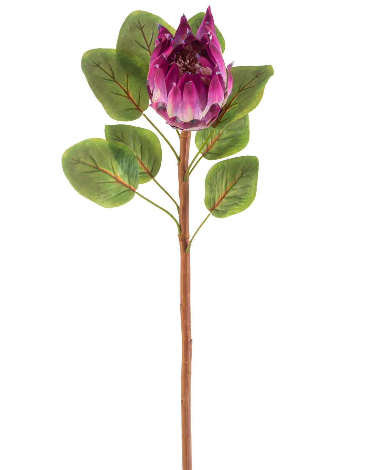 Artificial Flower Protea 65 cm lilla har en enkelt kunstig lilla protea blomst med grønne blade og en lang brun stilk, mod en hvid baggrund.
