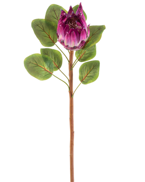 Artificial Flower Protea 65 cm lilla har en enkelt kunstig lilla protea blomst med grønne blade og en lang brun stilk, mod en hvid baggrund.
