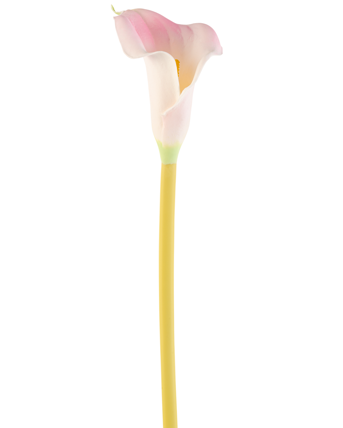 Den kunstige blomst Calla 64 cm blush, en enkelt pink og hvid calla lilje med en gul stilk, er vist mod en almindelig hvid baggrund.