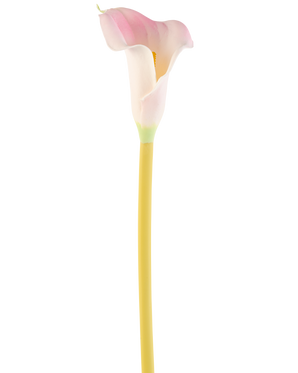 Den kunstige blomst Calla 64 cm blush, en enkelt pink og hvid calla lilje med en gul stilk, er vist mod en almindelig hvid baggrund.