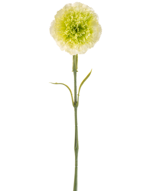 Den kunstige blomsternellike 57 cm lysegrøn er en kunstig lysegrøn nelliker med flæser i kronbladene og en lang stilk, afbildet mod en almindelig hvid baggrund.