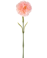 Kunstig blomst Nellik 57 cm rødmende: En enkelt kunstig lys rosa nelliker med plisserede kronblade på en lang grøn stilk og to par slanke blade, afbildet på hvid baggrund.