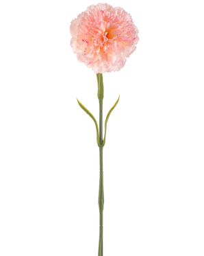 Kunstig blomst Nellik 57 cm rødmende: En enkelt kunstig lys rosa nelliker med plisserede kronblade på en lang grøn stilk og to par slanke blade, afbildet på hvid baggrund.