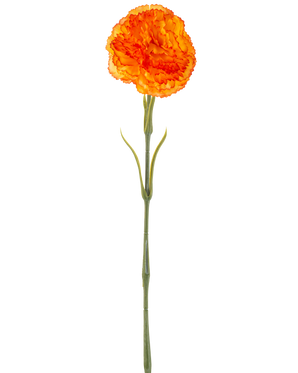 Den kunstige blomsternelliker 57 cm orange er en kunstig orange nelliker med flæser i kronbladene og en lang grøn stilk, isoleret på en hvid baggrund.